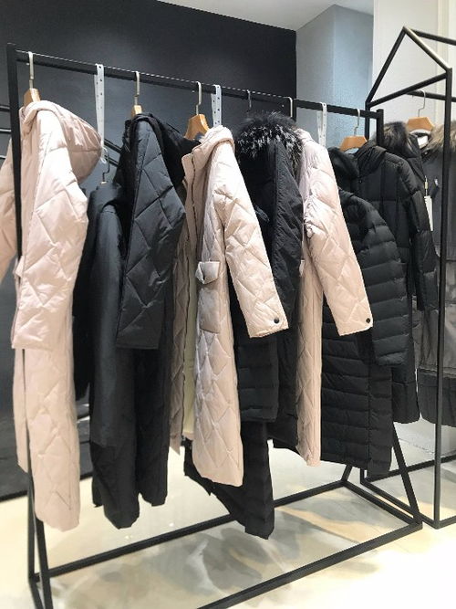 探寻杭州品牌女装魅力 MG品牌折扣货源与批发全攻略