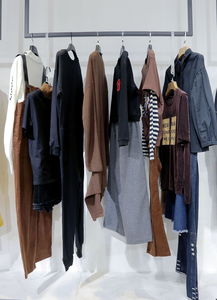 司徒静的服装生意 从批发走向品牌化，解锁服装行业机遇